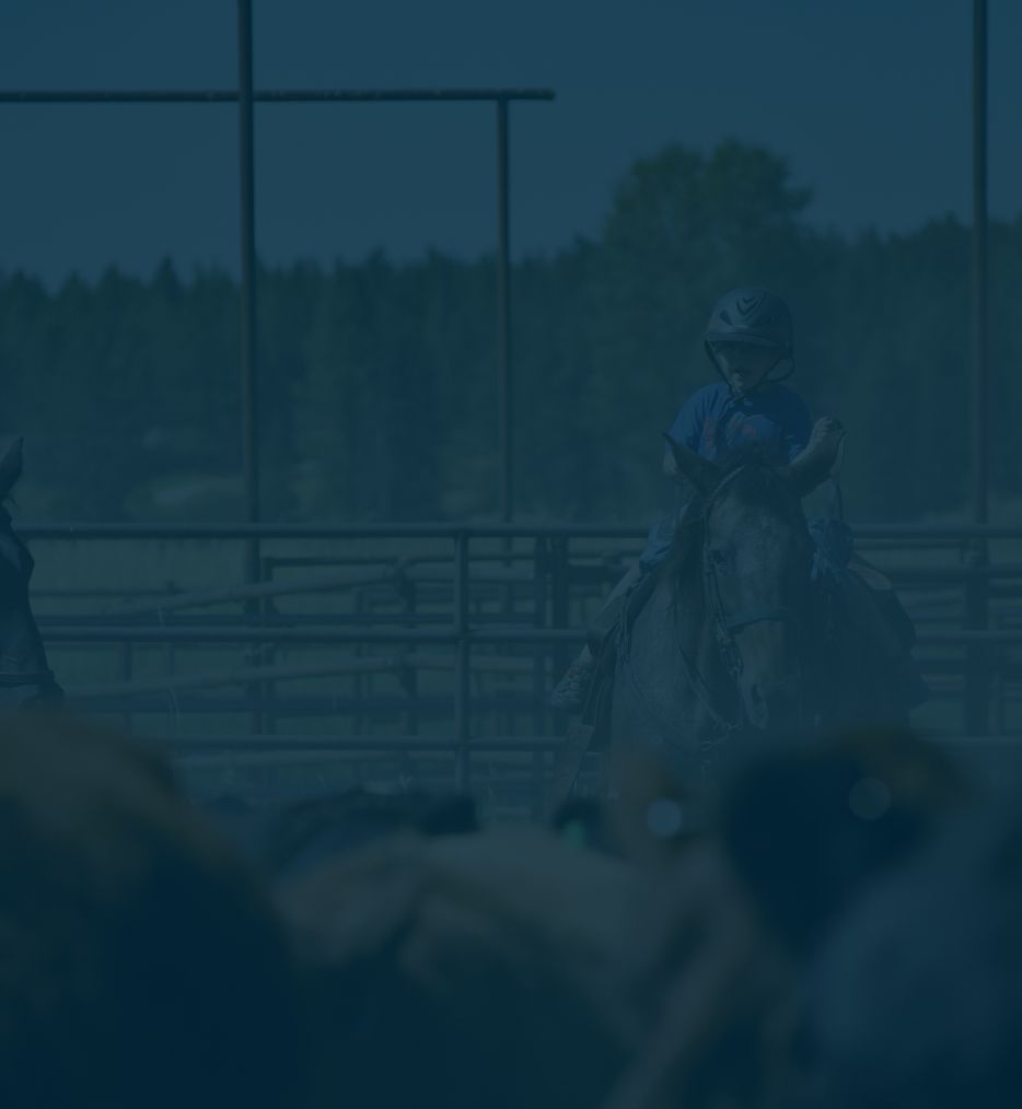 Blarney Ranch Northwest Montana Dexter Beef Blarney Ranch Northwest Montana Dexter Beef